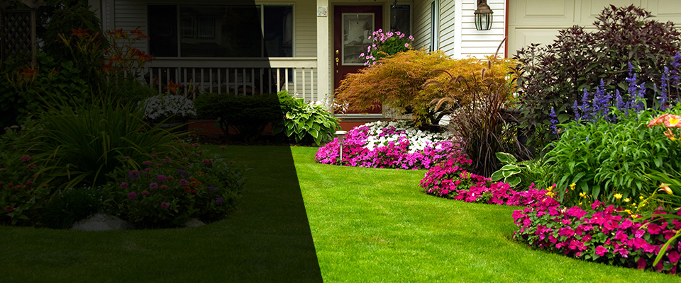 Rock Falls Landscapers