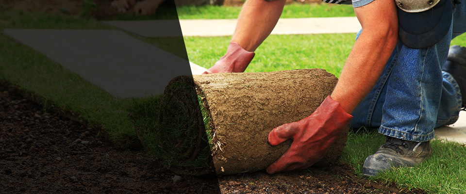 Rock Falls Landscapers